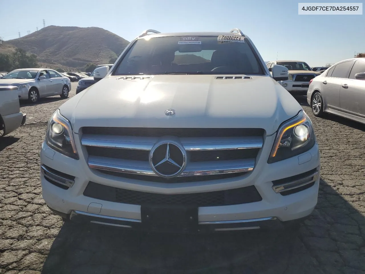 2013 Mercedes-Benz Gl 450 4Matic VIN: 4JGDF7CE7DA254557 Lot: 74986654