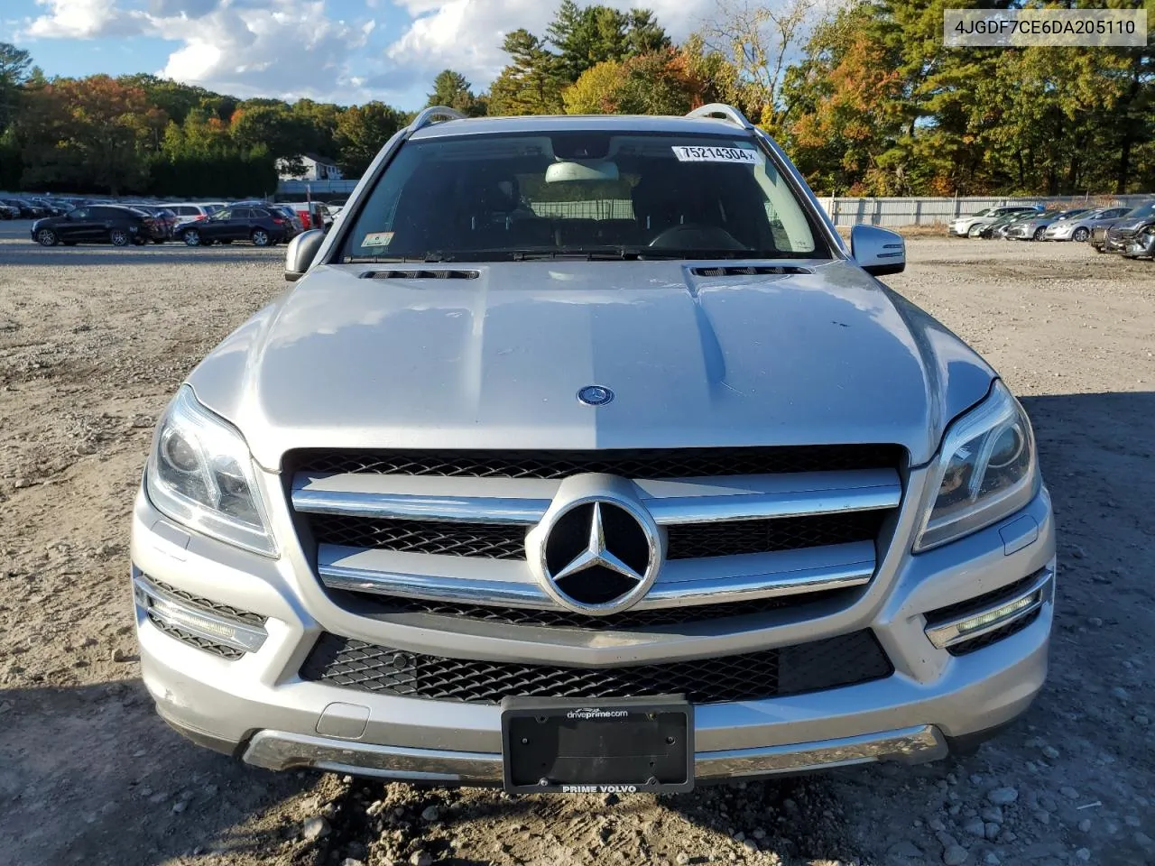 2013 Mercedes-Benz Gl 450 4Matic VIN: 4JGDF7CE6DA205110 Lot: 75214304