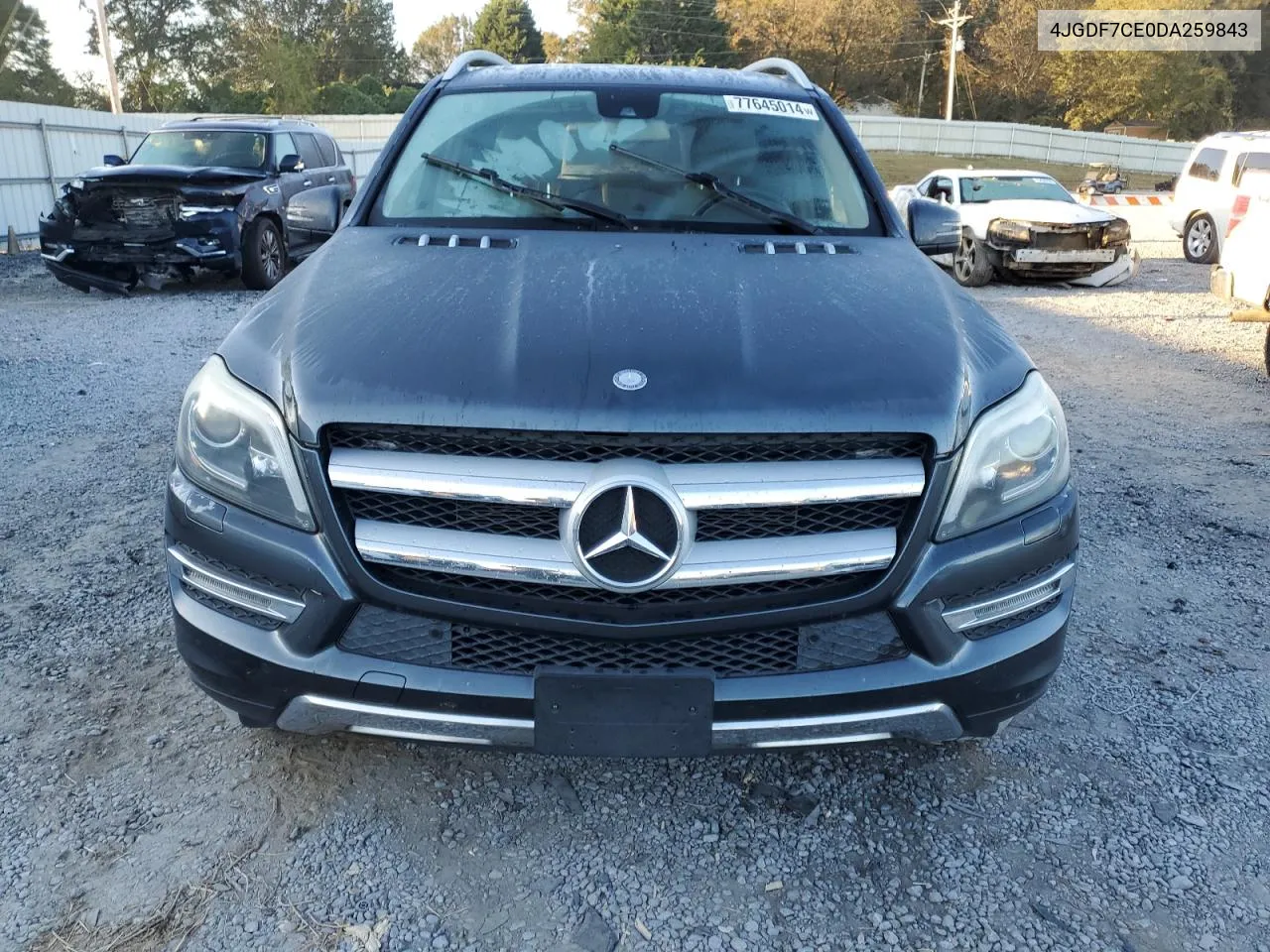 2013 Mercedes-Benz Gl 450 4Matic VIN: 4JGDF7CE0DA259843 Lot: 77645014