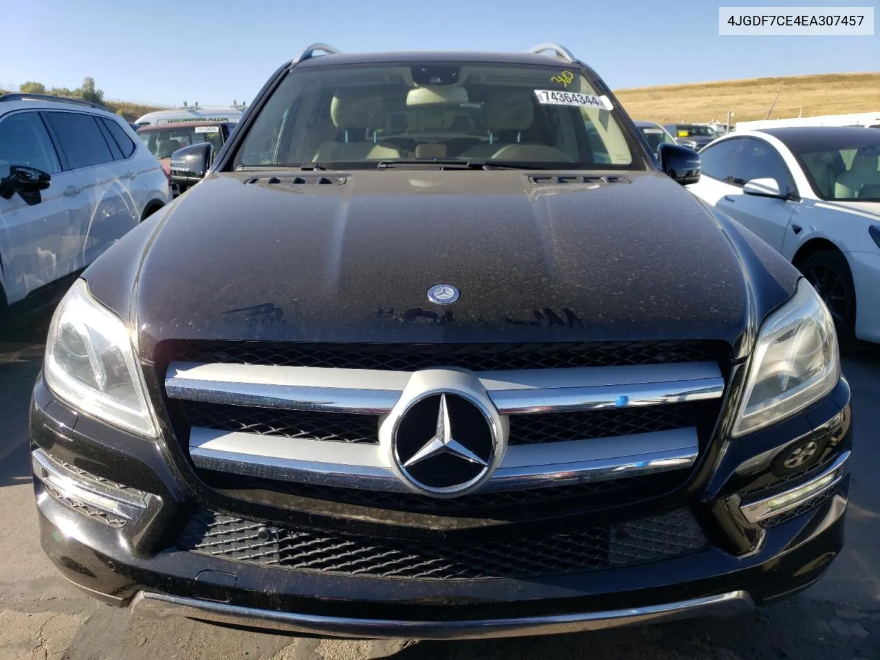 2014 Mercedes-Benz Gl 450 4Matic VIN: 4JGDF7CE4EA307457 Lot: 74364344