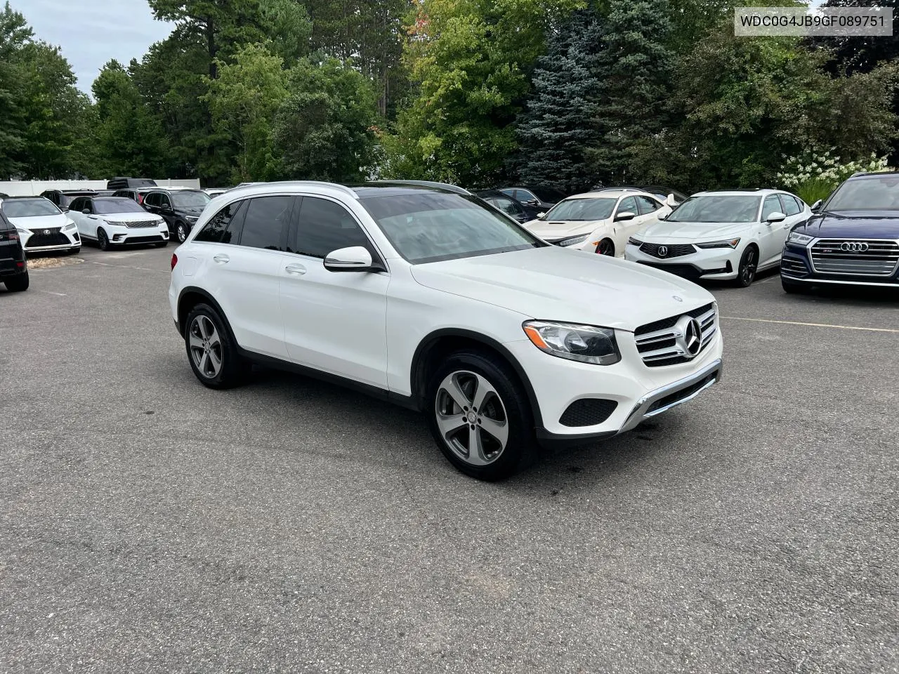 2016 Mercedes-Benz Glc 300 VIN: WDC0G4JB9GF089751 Lot: 66994664