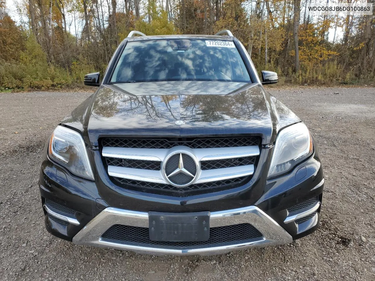 2013 Mercedes-Benz Glk 350 4Matic VIN: WDCGG8JB6DG100863 Lot: 77202364