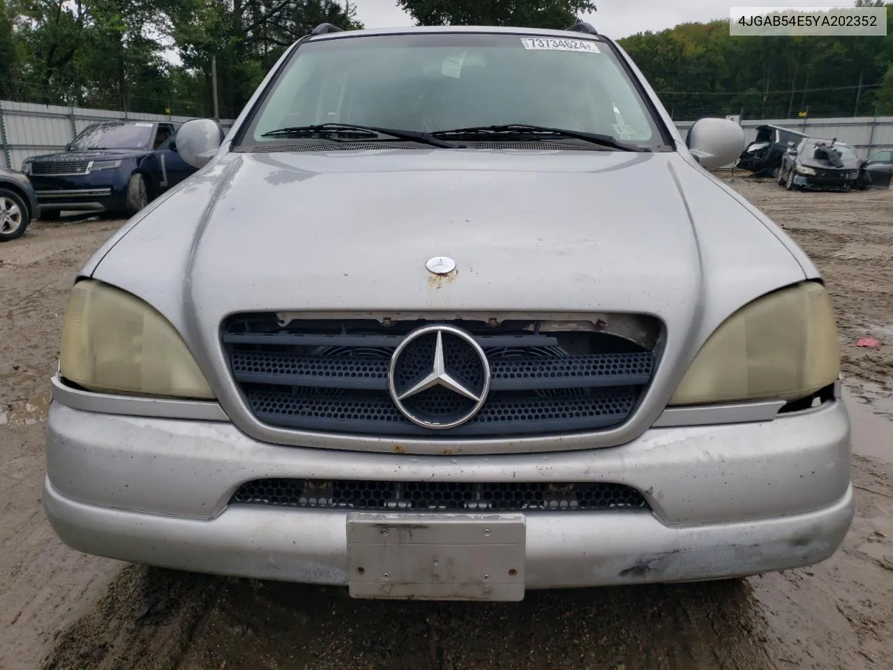 2000 Mercedes-Benz Ml 320 VIN: 4JGAB54E5YA202352 Lot: 73734624