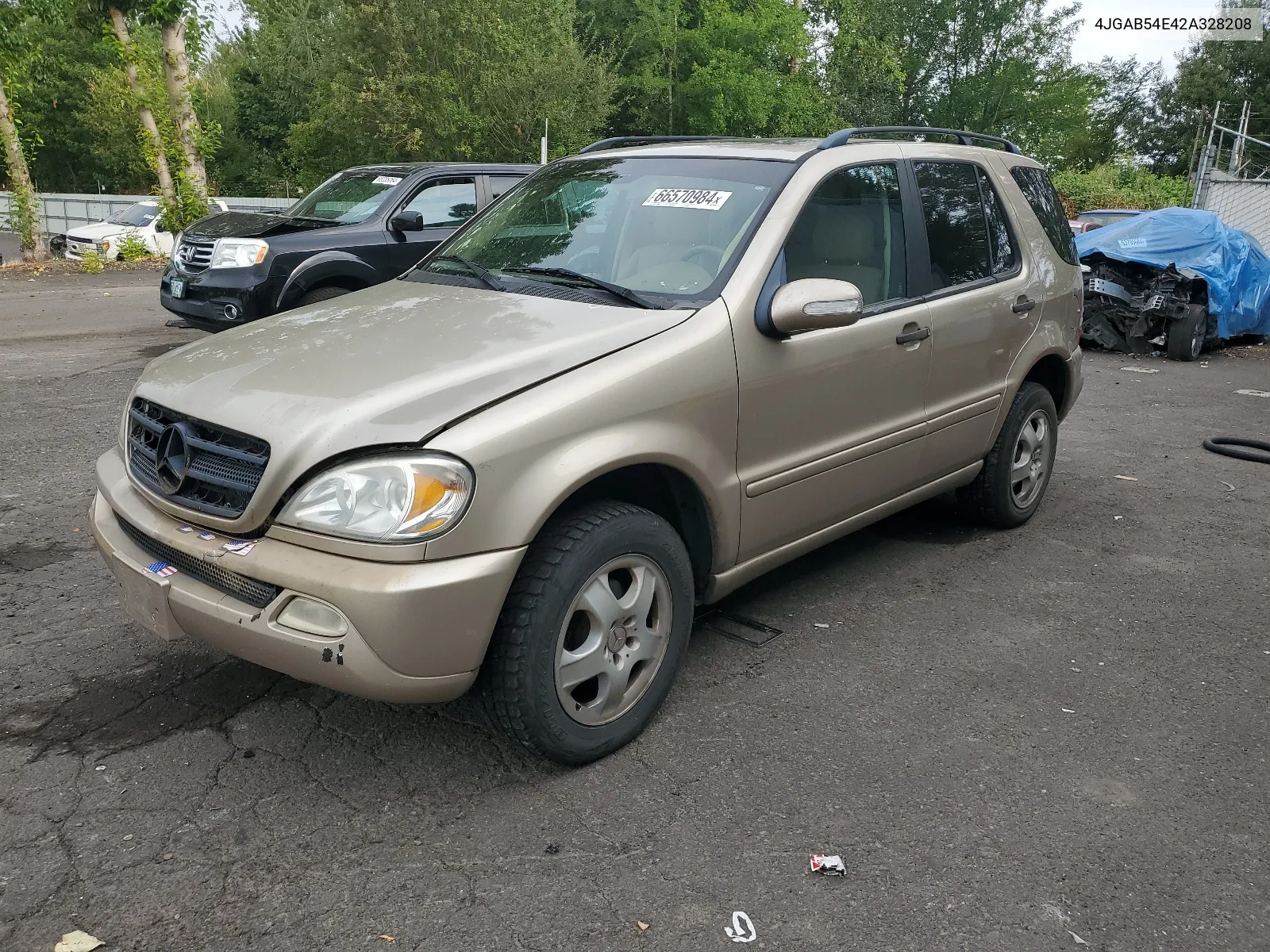 2002 Mercedes-Benz Ml 320 VIN: 4JGAB54E42A328208 Lot: 66570984