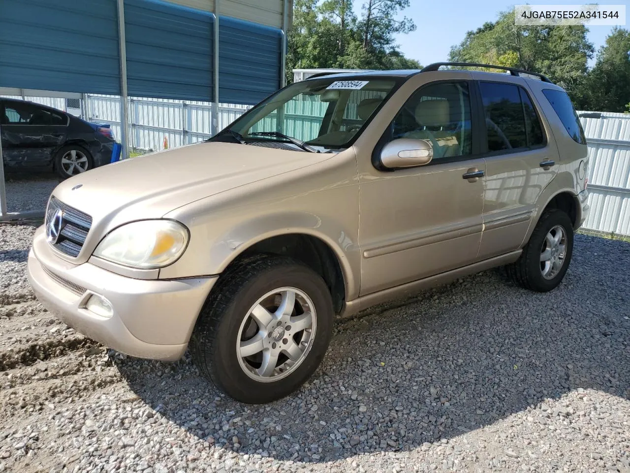 2002 Mercedes-Benz Ml 500 VIN: 4JGAB75E52A341544 Lot: 67508594