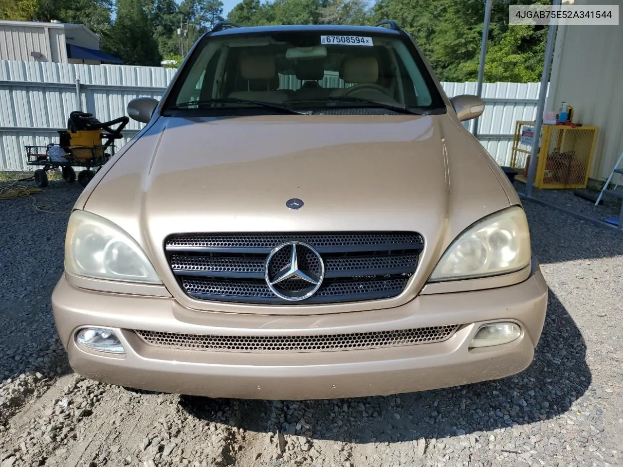 2002 Mercedes-Benz Ml 500 VIN: 4JGAB75E52A341544 Lot: 67508594