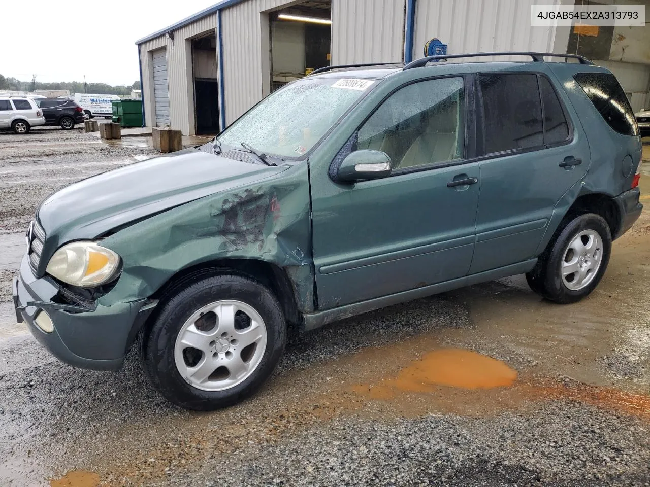 2002 Mercedes-Benz Ml 320 VIN: 4JGAB54EX2A313793 Lot: 72600614