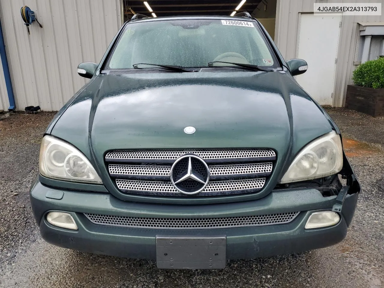 2002 Mercedes-Benz Ml 320 VIN: 4JGAB54EX2A313793 Lot: 72600614