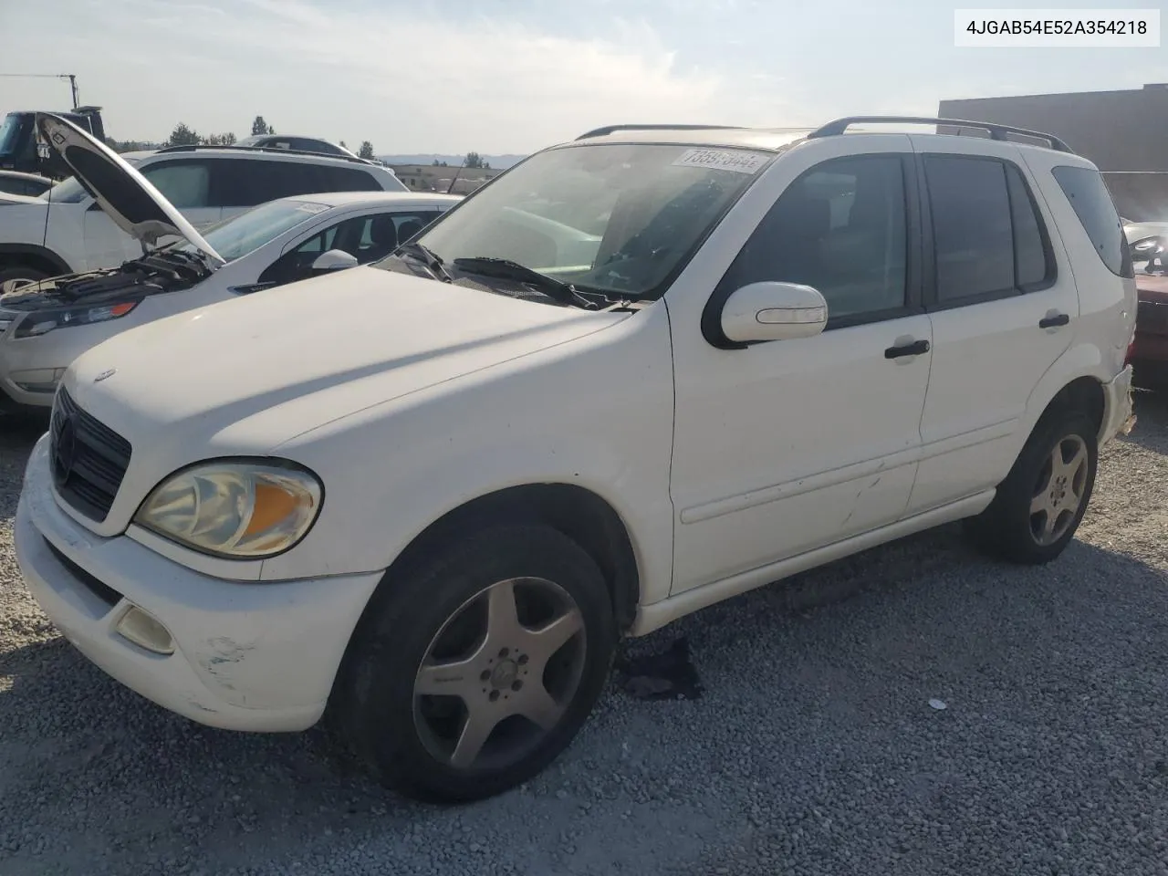 2002 Mercedes-Benz Ml 320 VIN: 4JGAB54E52A354218 Lot: 73597344