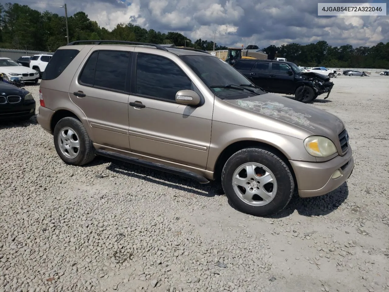 2002 Mercedes-Benz Ml 320 VIN: 4JGAB54E72A322046 Lot: 74393084