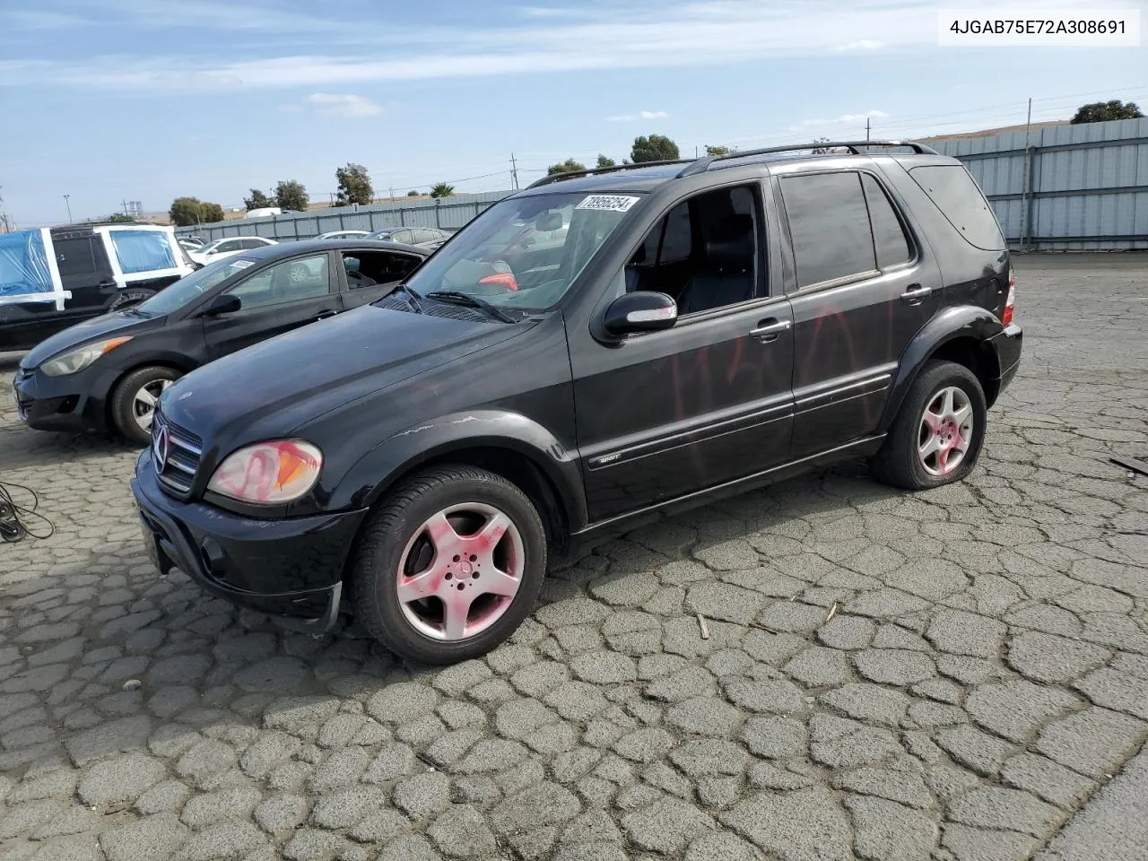 2002 Mercedes-Benz Ml 500 VIN: 4JGAB75E72A308691 Lot: 78956254