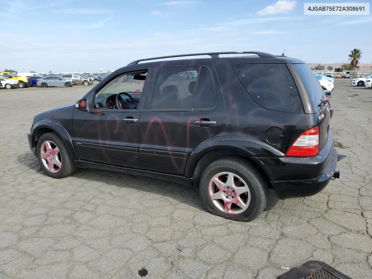 2002 Mercedes-Benz Ml 500 VIN: 4JGAB75E72A308691 Lot: 78956254