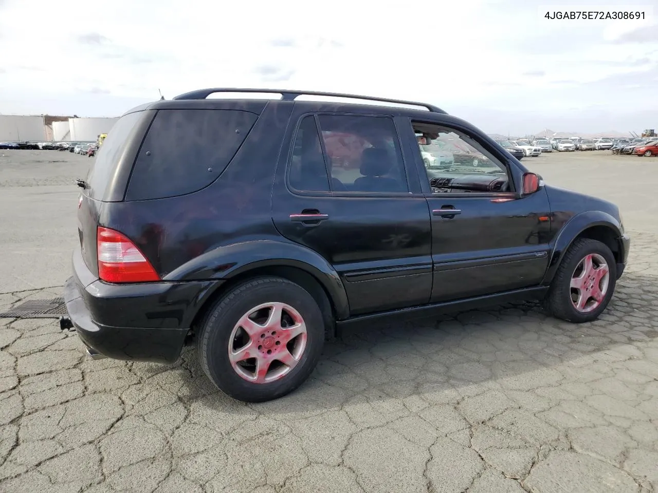 2002 Mercedes-Benz Ml 500 VIN: 4JGAB75E72A308691 Lot: 78956254