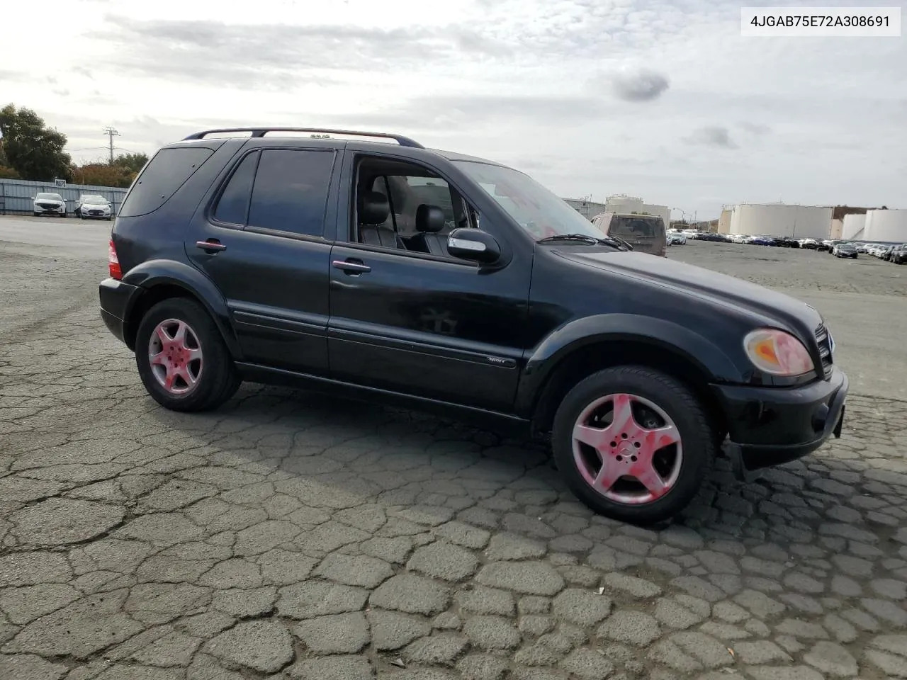 2002 Mercedes-Benz Ml 500 VIN: 4JGAB75E72A308691 Lot: 78956254