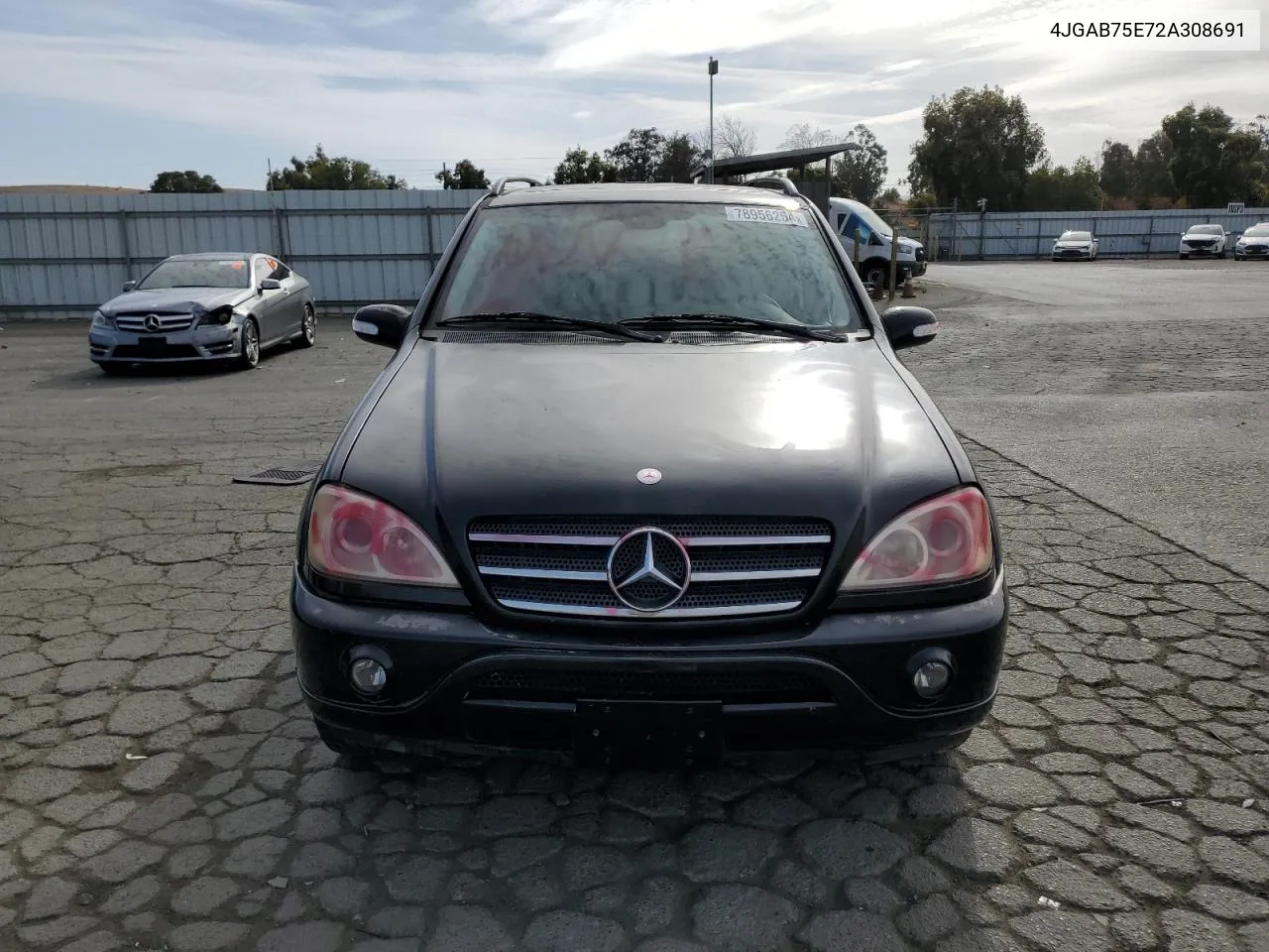 2002 Mercedes-Benz Ml 500 VIN: 4JGAB75E72A308691 Lot: 78956254