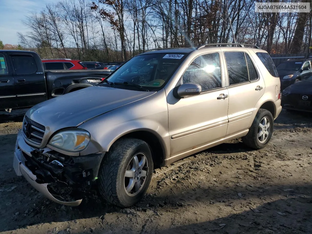 2005 Mercedes-Benz Ml 500 VIN: 4JGAB75E65A531504 Lot: 79095264