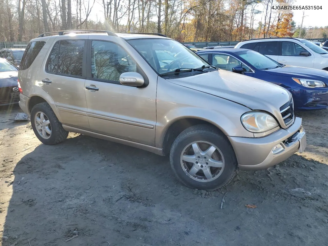 2005 Mercedes-Benz Ml 500 VIN: 4JGAB75E65A531504 Lot: 79095264