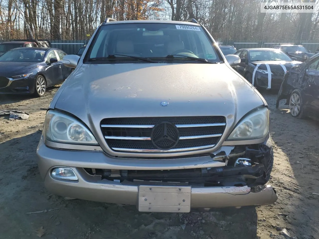 2005 Mercedes-Benz Ml 500 VIN: 4JGAB75E65A531504 Lot: 79095264