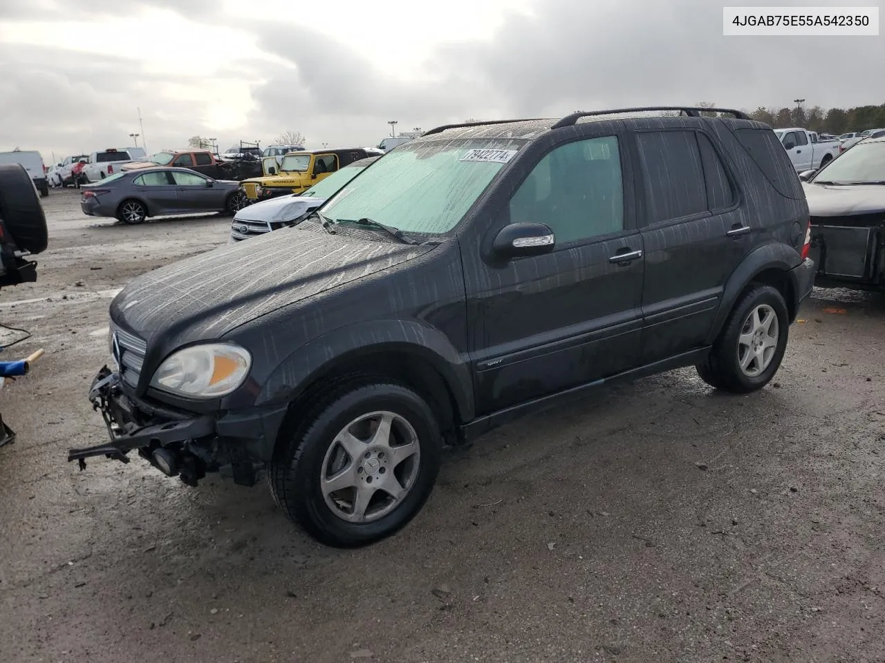 2005 Mercedes-Benz Ml 500 VIN: 4JGAB75E55A542350 Lot: 79422774