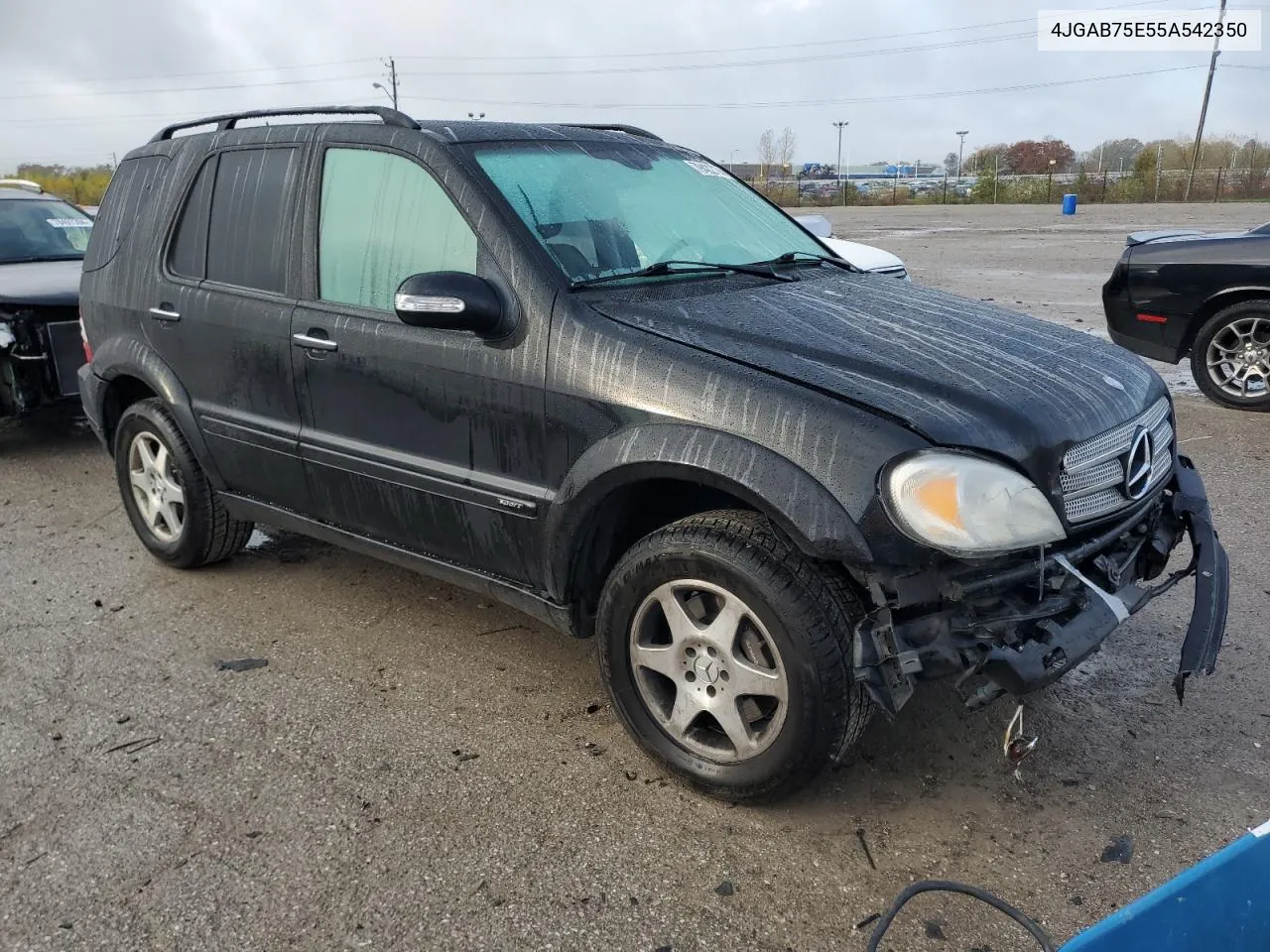 2005 Mercedes-Benz Ml 500 VIN: 4JGAB75E55A542350 Lot: 79422774