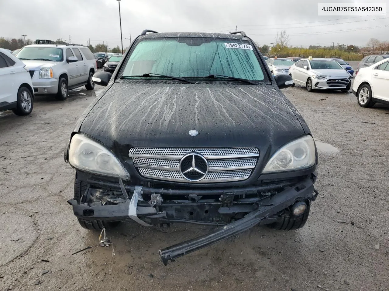 2005 Mercedes-Benz Ml 500 VIN: 4JGAB75E55A542350 Lot: 79422774