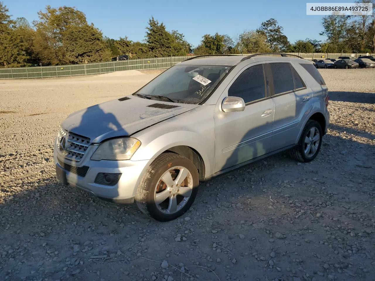 2009 Mercedes-Benz Ml 350 VIN: 4JGBB86E89A493725 Lot: 74776244