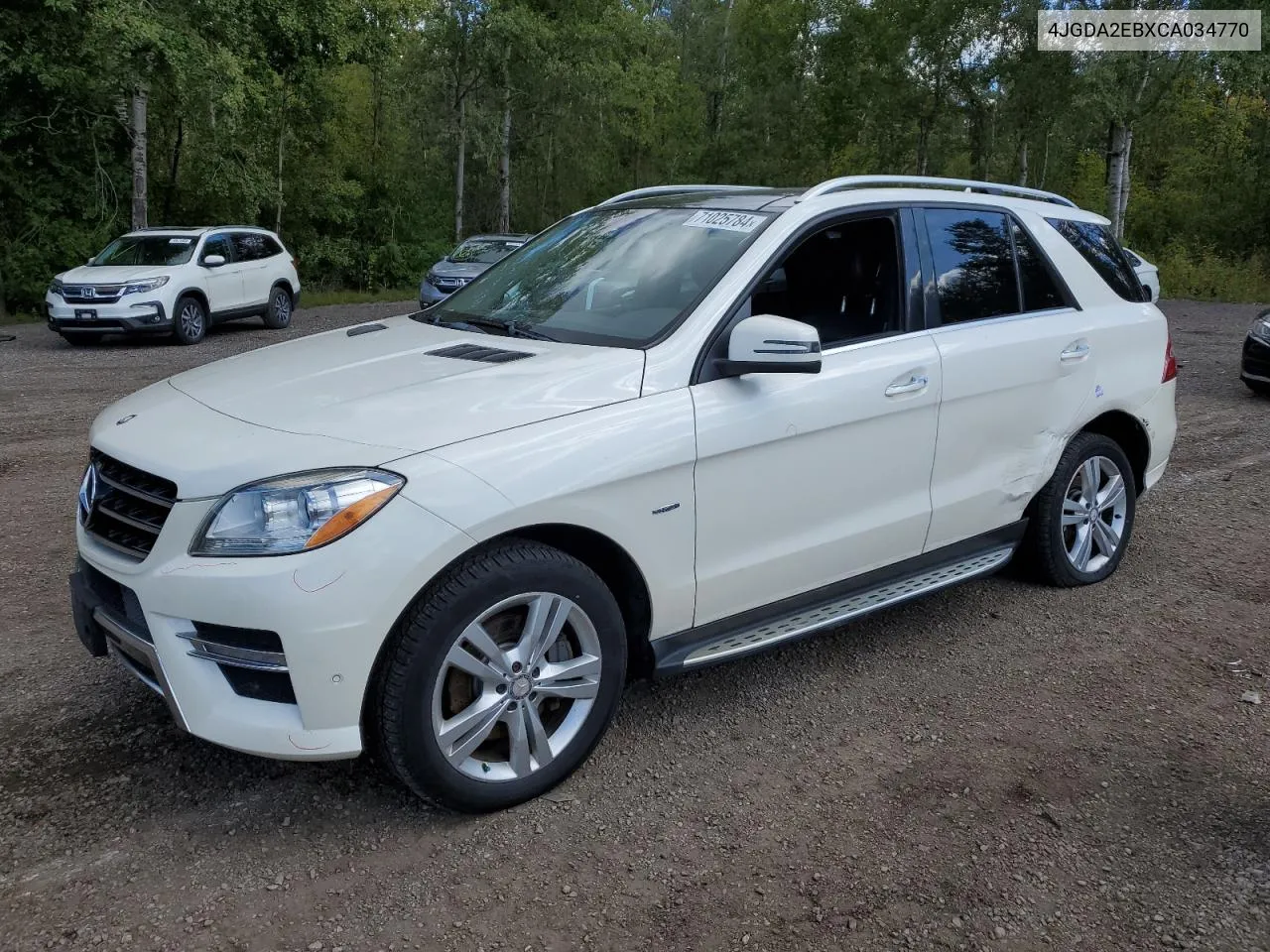 2012 Mercedes-Benz Ml 350 Bluetec VIN: 4JGDA2EBXCA034770 Lot: 71025784