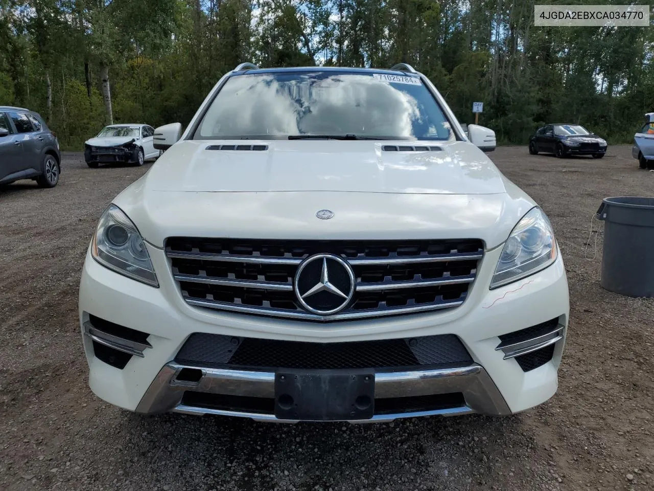 2012 Mercedes-Benz Ml 350 Bluetec VIN: 4JGDA2EBXCA034770 Lot: 71025784