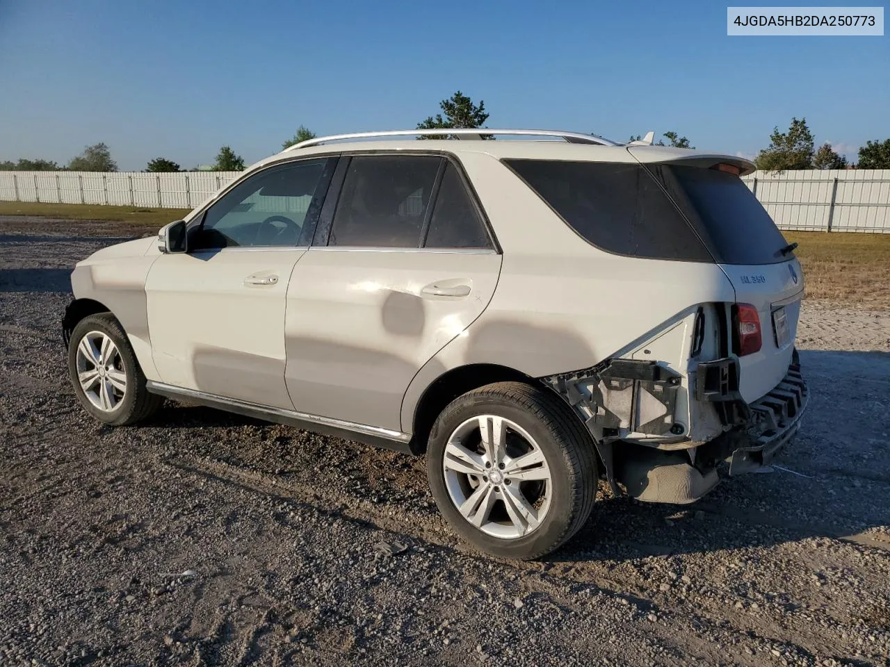 2013 Mercedes-Benz Ml 350 4Matic VIN: 4JGDA5HB2DA250773 Lot: 74767894