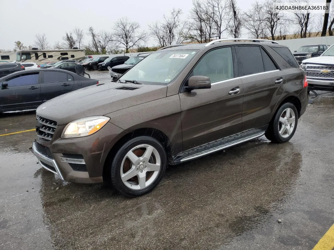 2014 Mercedes-Benz Ml 350 4Matic VIN: 4JGDA5HB6EA365183 Lot: 78377664