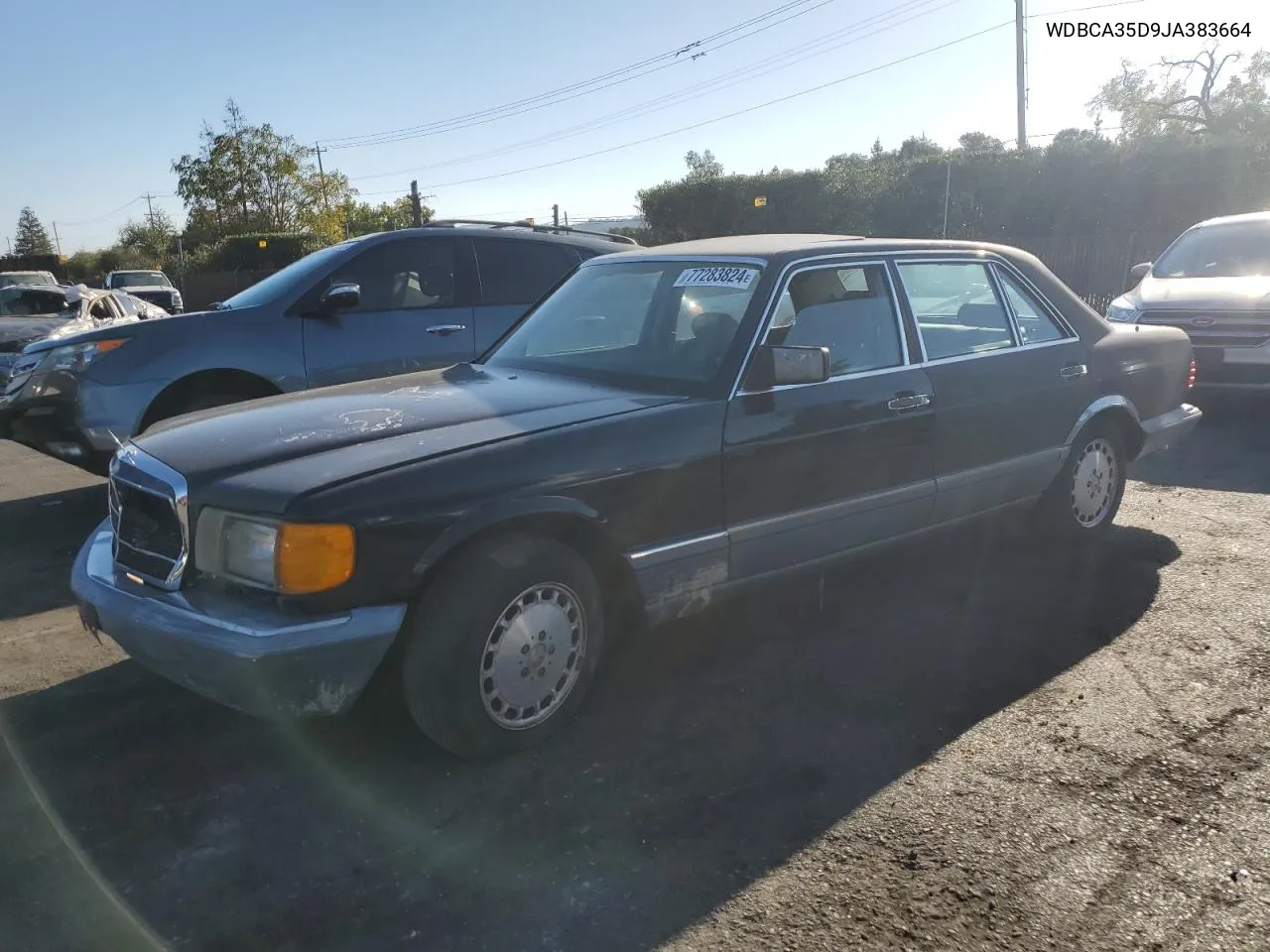 1988 Mercedes-Benz 420 Sel VIN: WDBCA35D9JA383664 Lot: 77283824