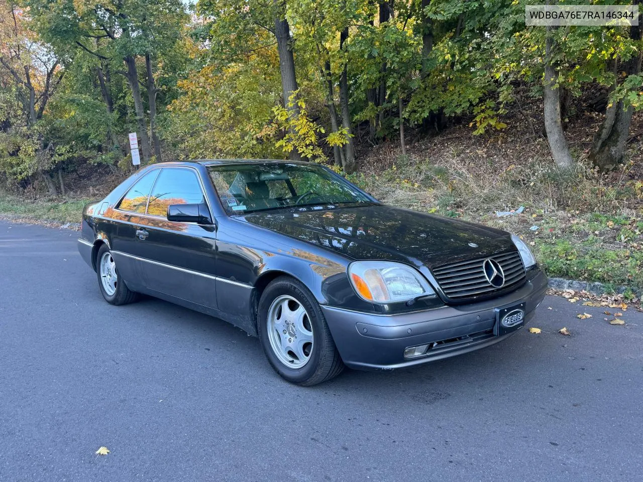 1994 Mercedes-Benz S 600 VIN: WDBGA76E7RA146344 Lot: 81151024