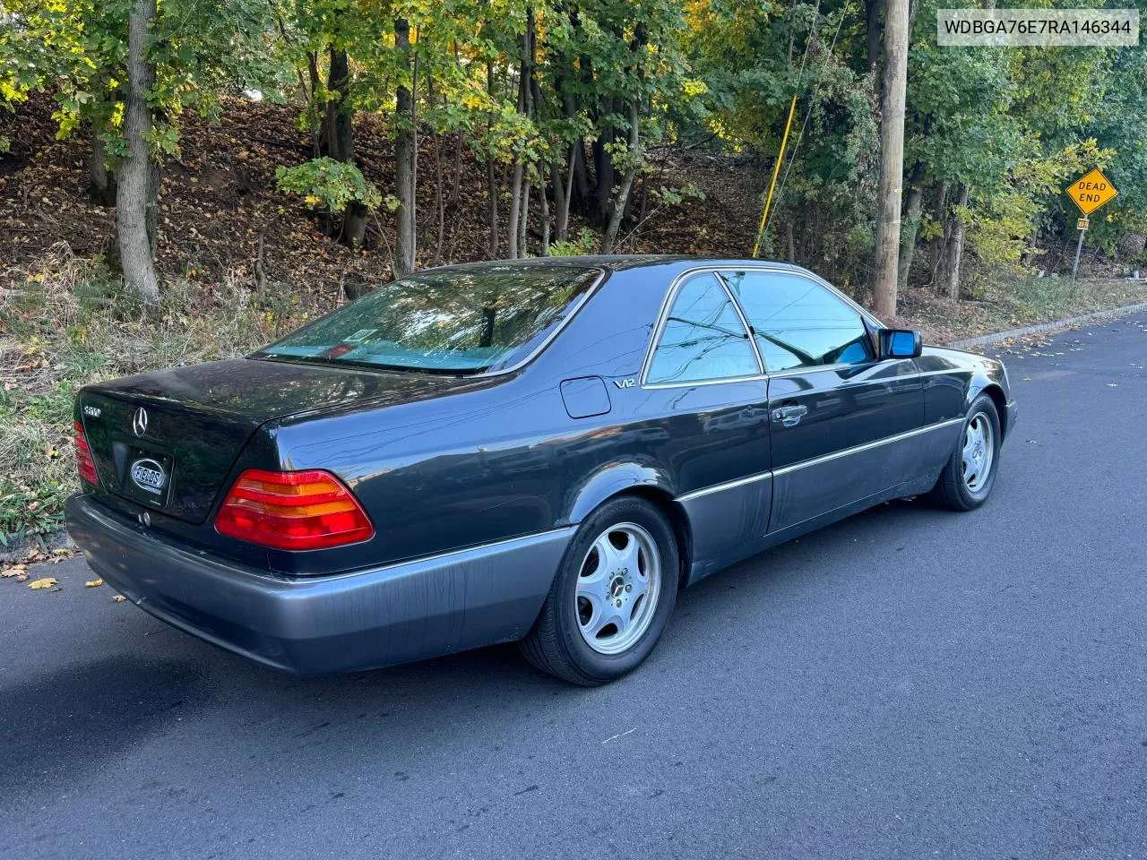 1994 Mercedes-Benz S 600 VIN: WDBGA76E7RA146344 Lot: 81151024