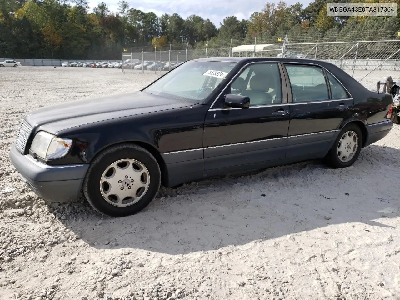 1996 Mercedes-Benz S 420 VIN: WDBGA43E0TA317364 Lot: 78539324