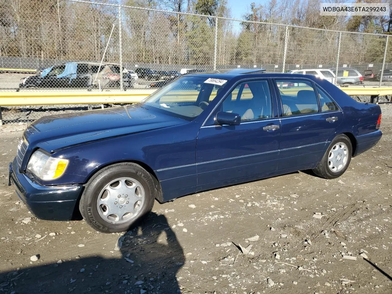 1996 Mercedes-Benz S 420 VIN: WDBGA43E6TA299243 Lot: 79664294