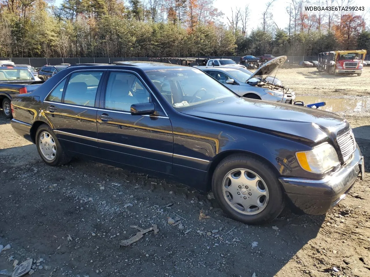 1996 Mercedes-Benz S 420 VIN: WDBGA43E6TA299243 Lot: 79664294