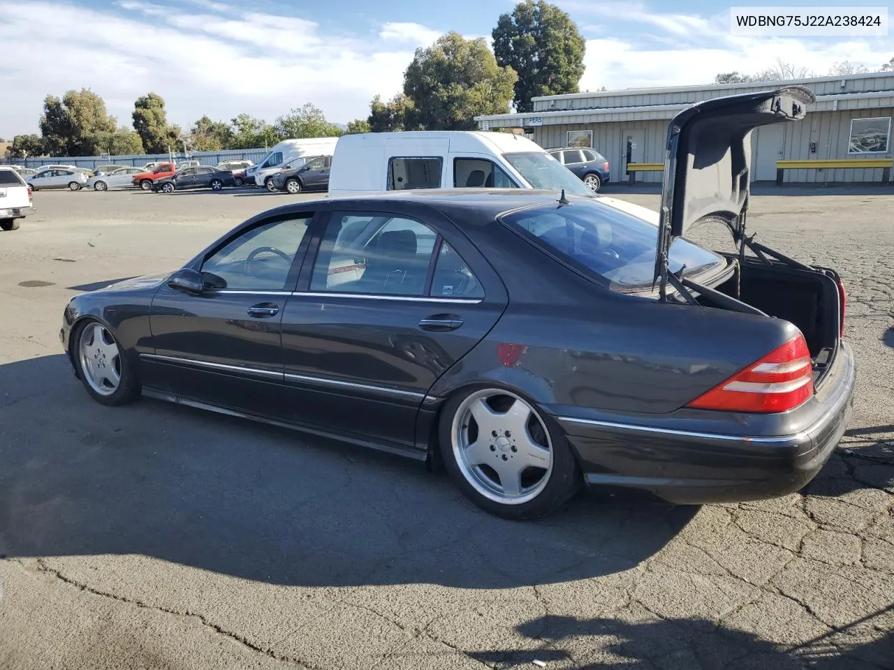 2002 Mercedes-Benz S 500 VIN: WDBNG75J22A238424 Lot: 74061384