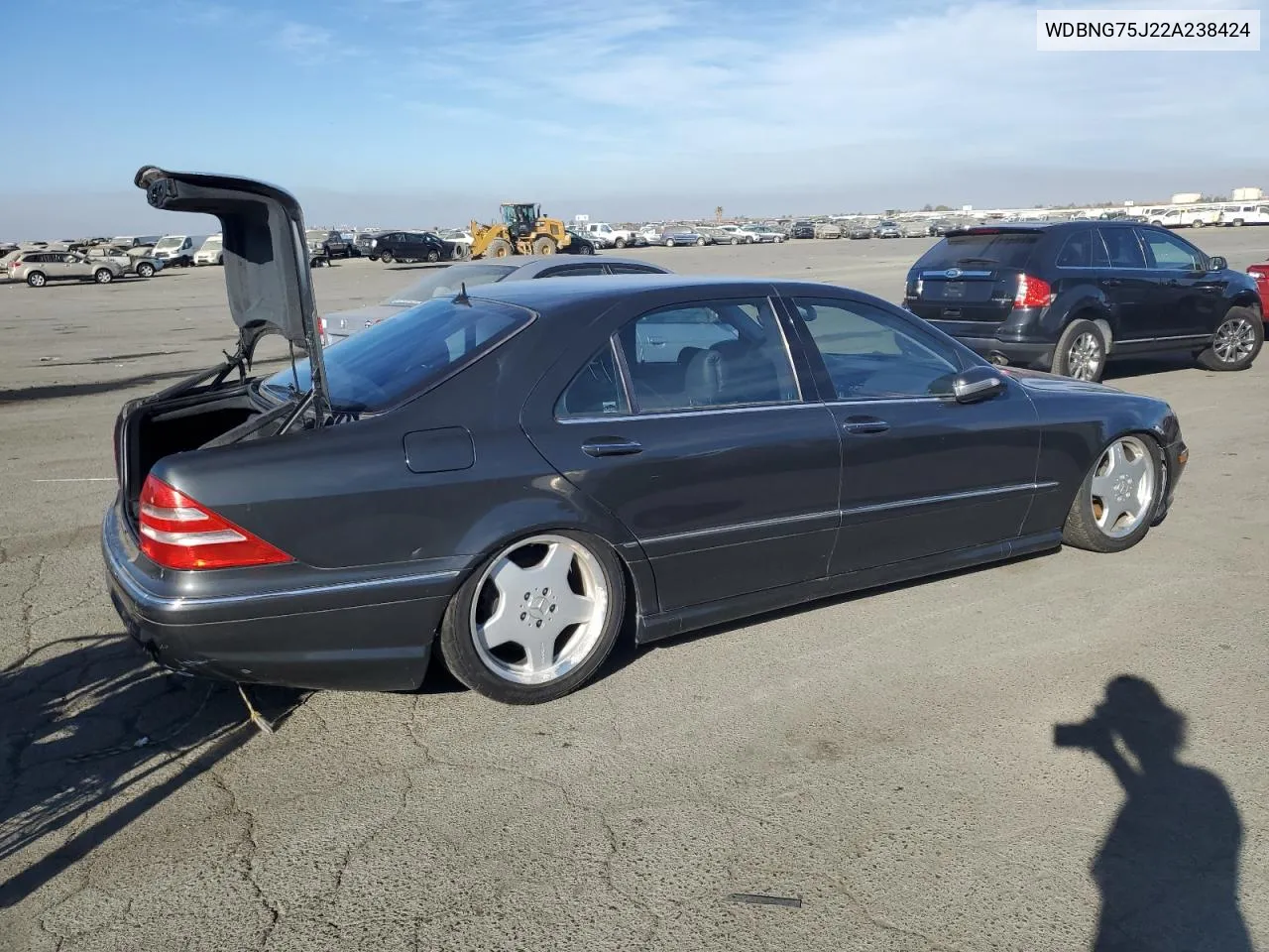 2002 Mercedes-Benz S 500 VIN: WDBNG75J22A238424 Lot: 74061384