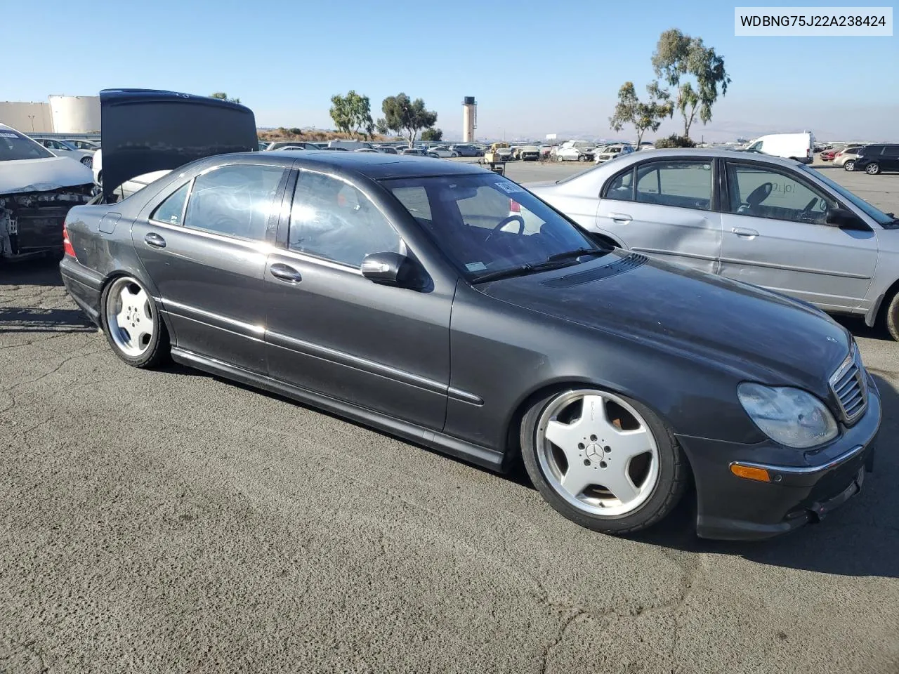 2002 Mercedes-Benz S 500 VIN: WDBNG75J22A238424 Lot: 74061384