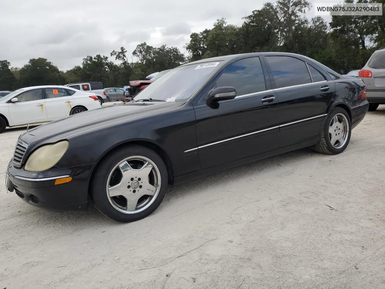 2002 Mercedes-Benz S 500 VIN: WDBNG75J32A290483 Lot: 79610994