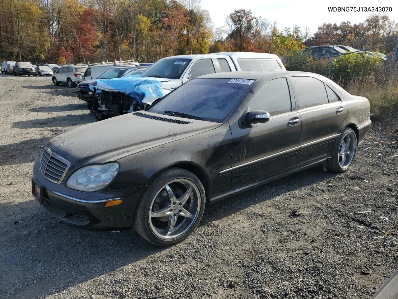 2003 Mercedes-Benz S 500 VIN: WDBNG75J13A343070 Lot: 77412604