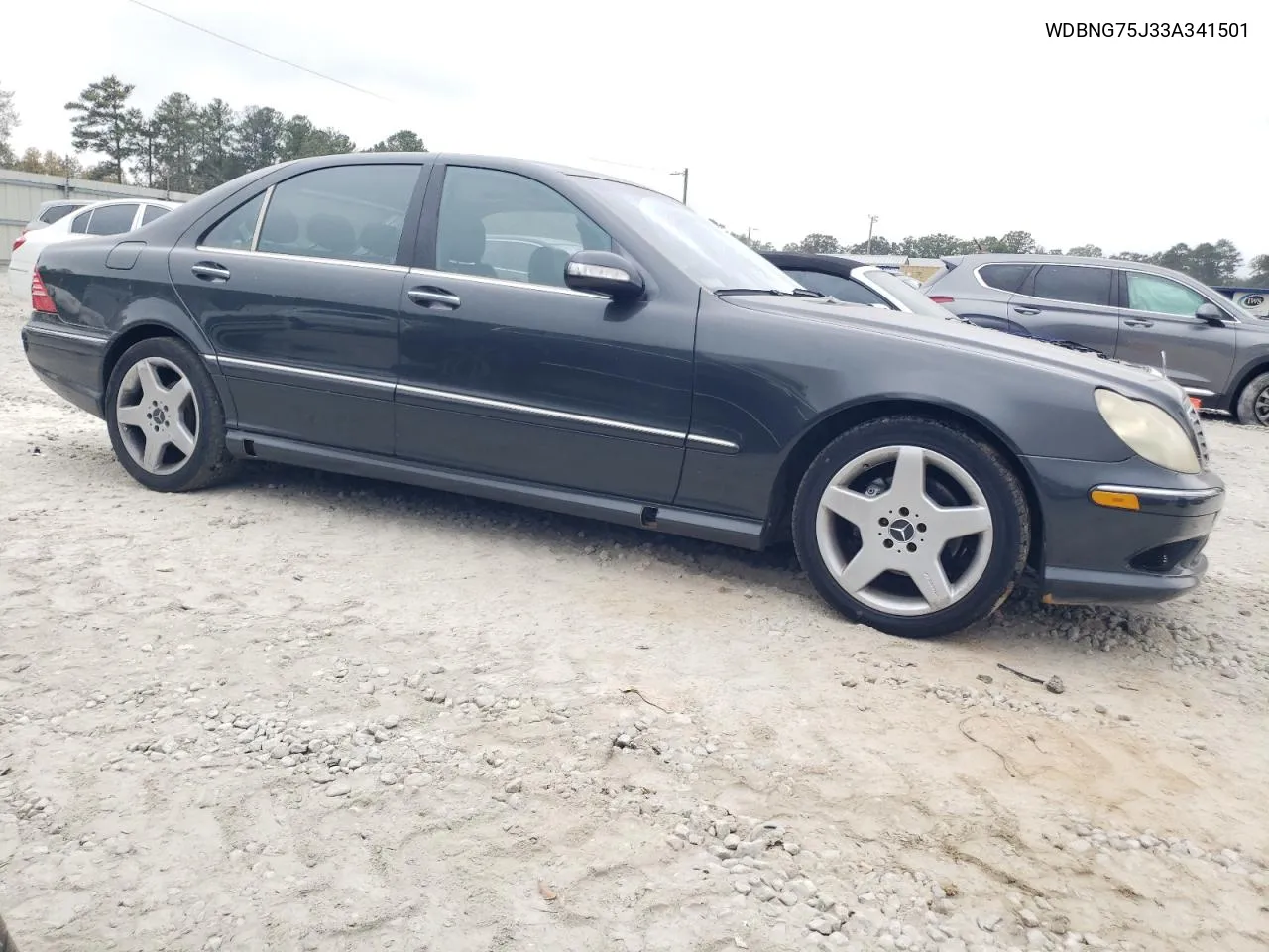 2003 Mercedes-Benz S 500 VIN: WDBNG75J33A341501 Lot: 78921774