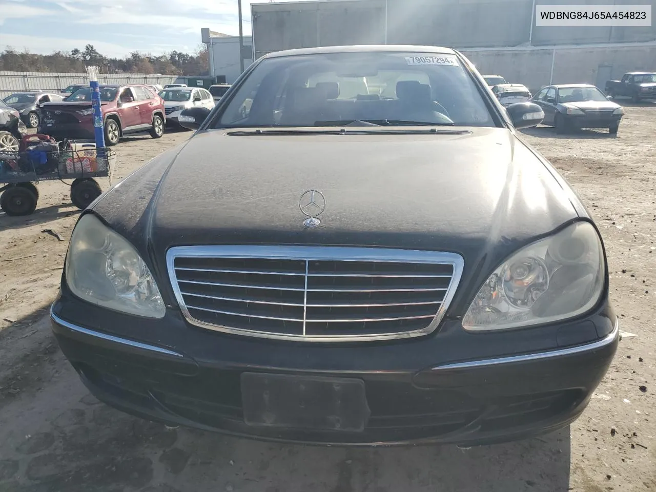 2005 Mercedes-Benz S 500 4Matic VIN: WDBNG84J65A454823 Lot: 79057294