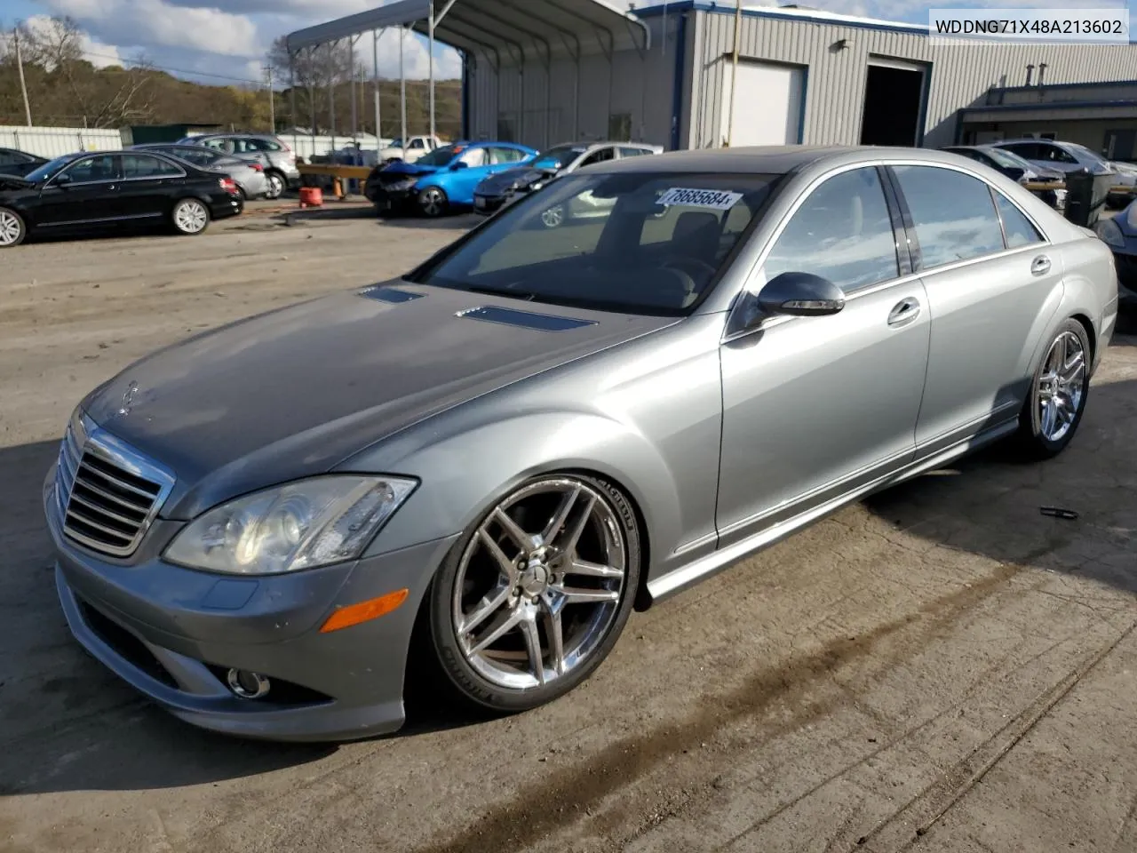 2008 Mercedes-Benz S 550 VIN: WDDNG71X48A213602 Lot: 78685684