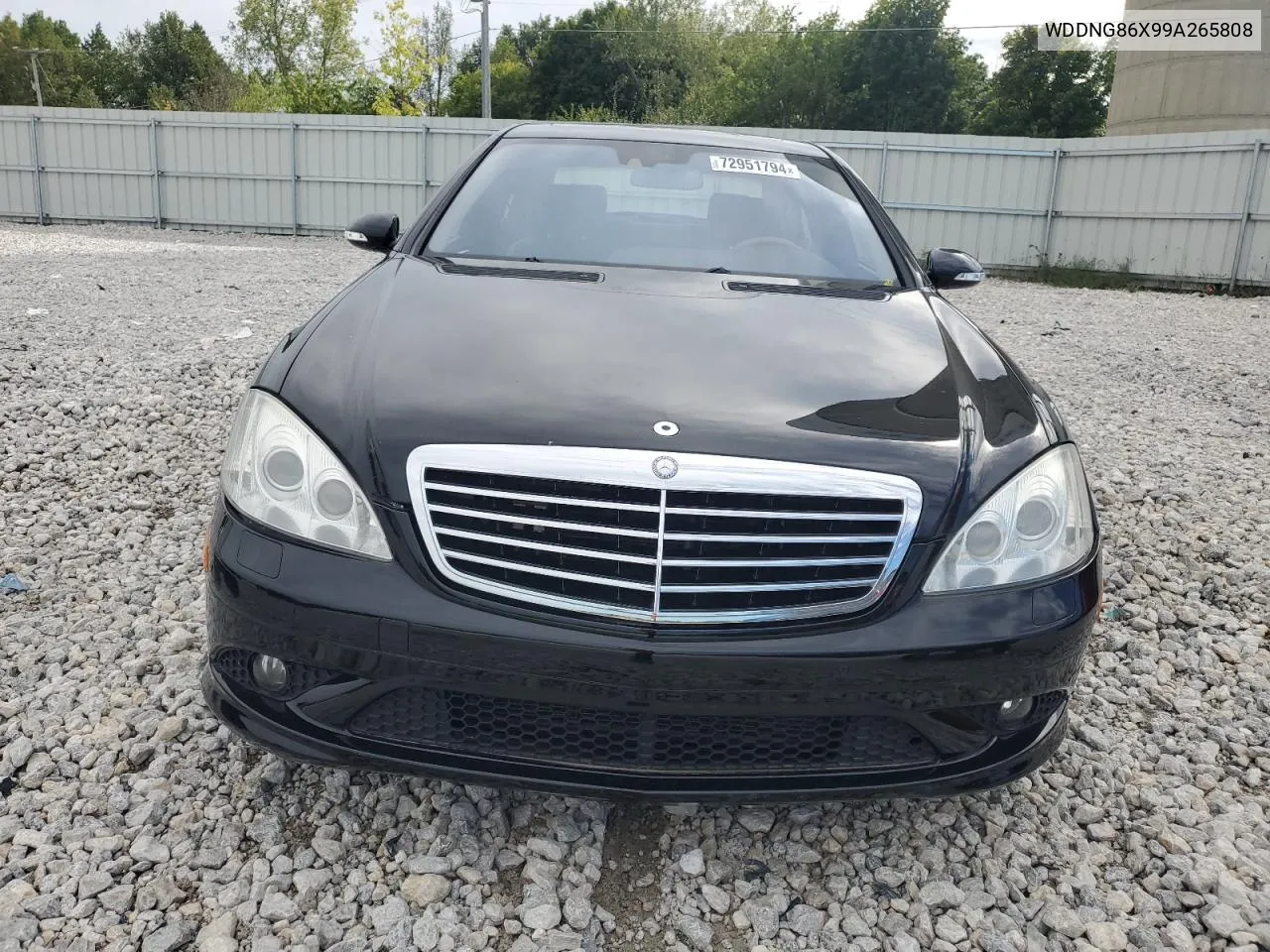 2009 Mercedes-Benz S 550 4Matic VIN: WDDNG86X99A265808 Lot: 72951794