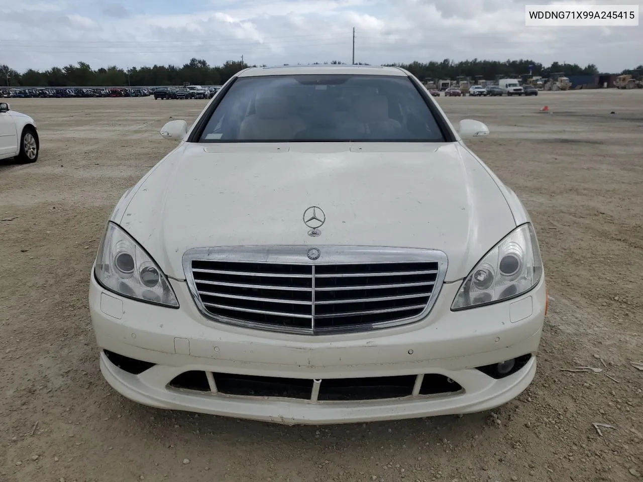 2009 Mercedes-Benz S 550 VIN: WDDNG71X99A245415 Lot: 79279584