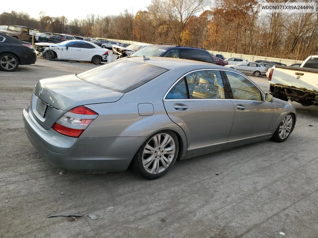 2009 Mercedes-Benz S 550 VIN: WDDNG71X89A244496 Lot: 79440784