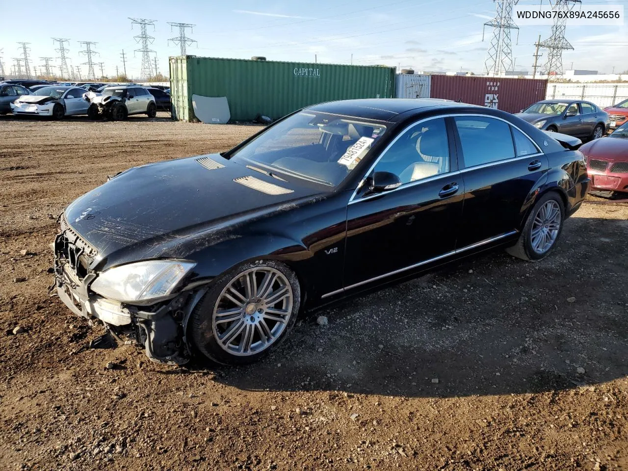 2009 Mercedes-Benz S 600 VIN: WDDNG76X89A245656 Lot: 79481524