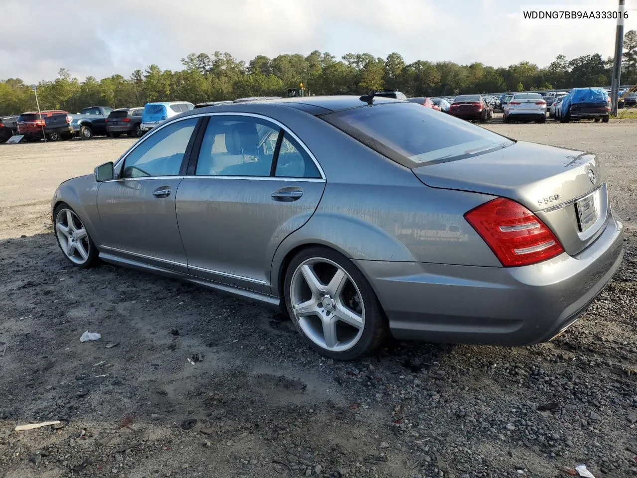 2010 Mercedes-Benz S 550 VIN: WDDNG7BB9AA333016 Lot: 79975944