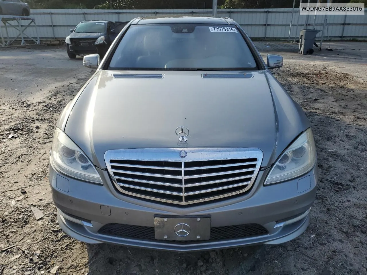 2010 Mercedes-Benz S 550 VIN: WDDNG7BB9AA333016 Lot: 79975944